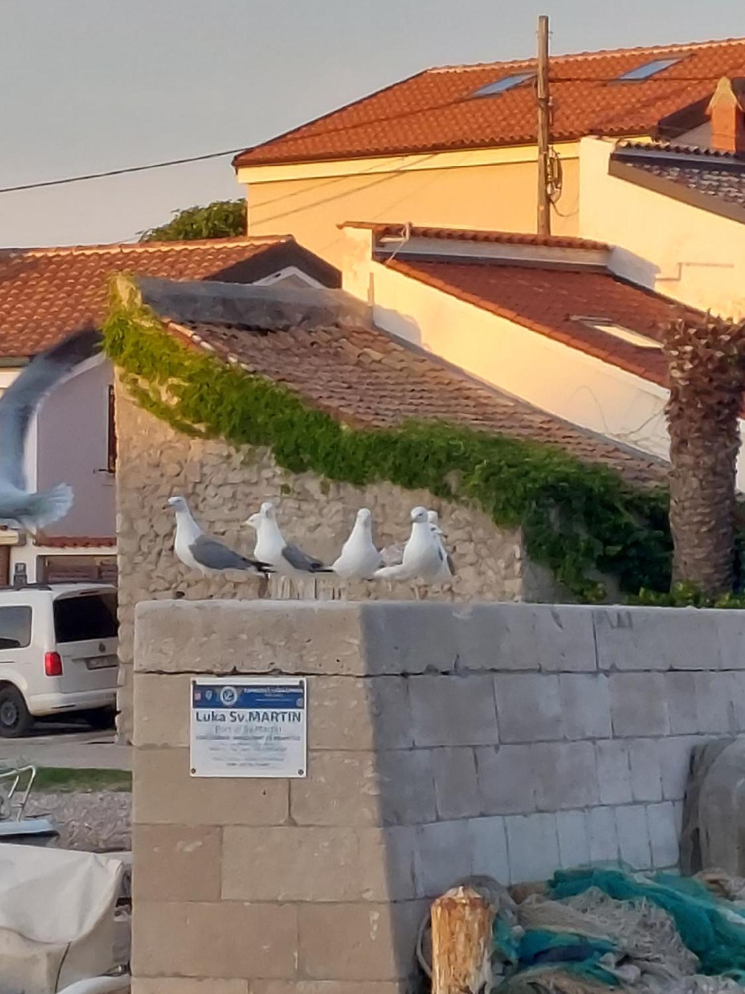 Apartments Suncica Mali Lošinj Exterior foto